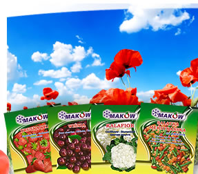 www.makow.com.pl