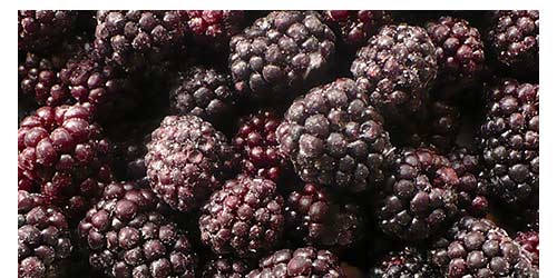 BLACKBERRY