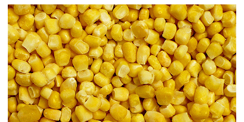 SWEET CORN - grain