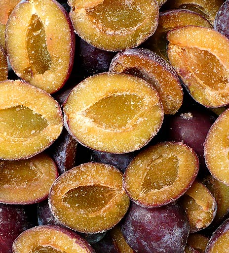 wiśnia